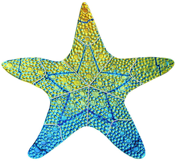 Rainbow Fusion Island Starfish Swimming Pool Mosaic