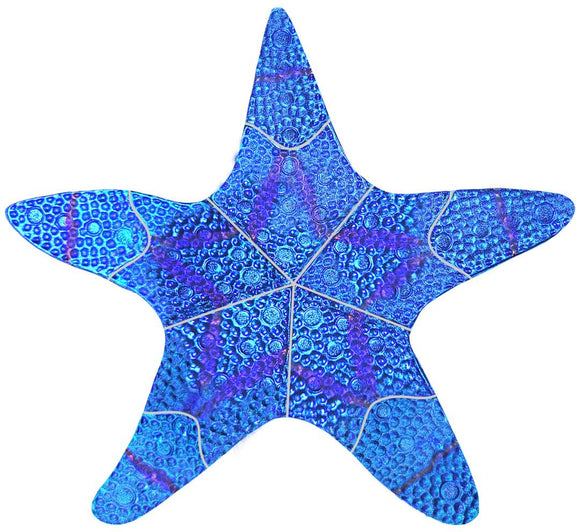 Sapphire Fusion Island Starfish Swimming Pool Mosaic