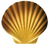 Tan Seashell Swimming Pool Mosaic