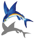 Flying Fish Shadow Swimming Pool Mosaic DownwardFacing
