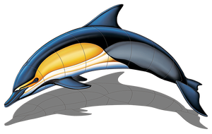 Left Facing Upward Curve Common Dolphin Shadow Swimming Pool Mosaic