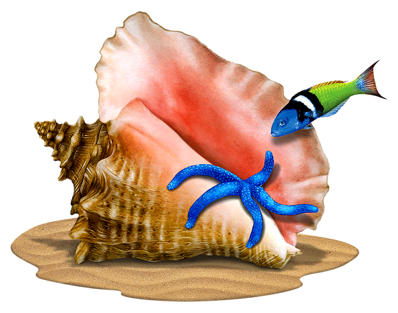 Conch Shell with Critters Swimming Pool Mosaic