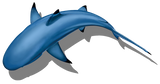 Blacktip Shark Shadow Swimming Pool Mosaic A