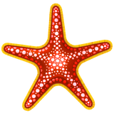 Starfish Swimming Pool Mosaic Red & Yellow