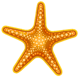 Starfish Swimming Pool Mosaic Orange & Yellow