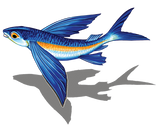 Flying Fish Shadow Swimming Pool Mosaic Upward Facing