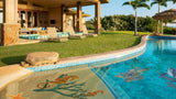 Seaweed and Sea Horses in Pool