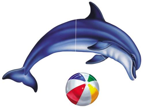 #5303 Single Dolphin Group Large