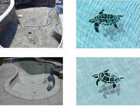 Turtles installed in pool before and after water is added