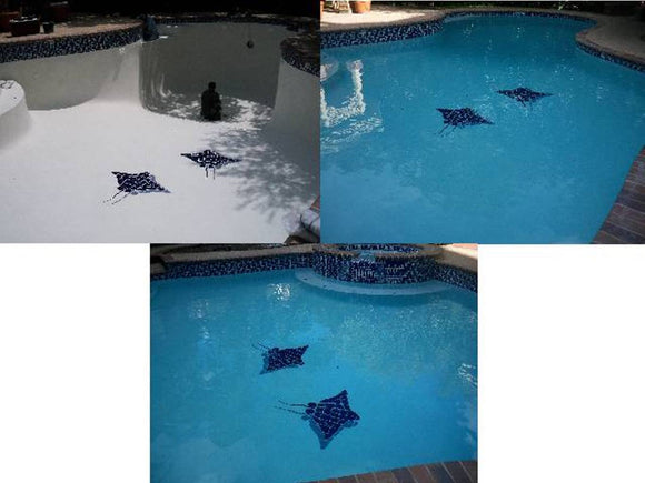 Blue Rays installed on pool bottom