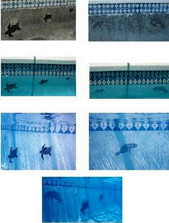 Turtles and a Manatee installed on a pool's wall