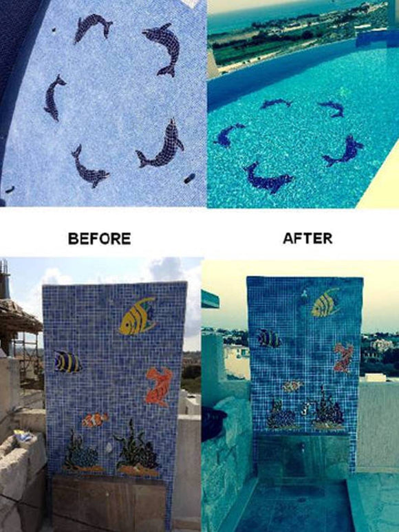 Dolphins installed in pool and Tropical Fish installed on shower wall