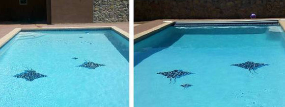 Spotted Eagle Rays installed on the pool's bottom