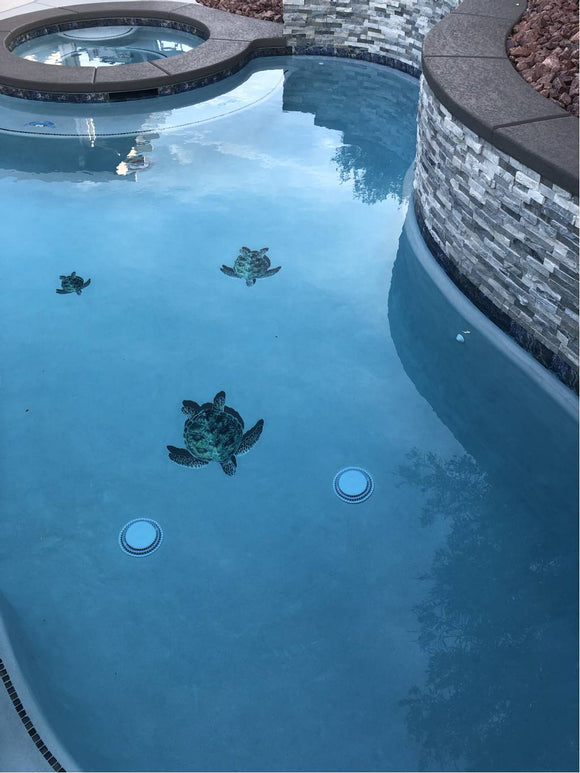 Family of Turtles installed in a pool