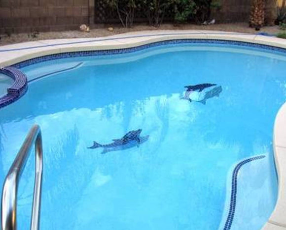 Two Shadow Dolphins installed in a pool