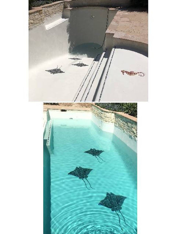 Sting Ray and Seahorse installed in a pool