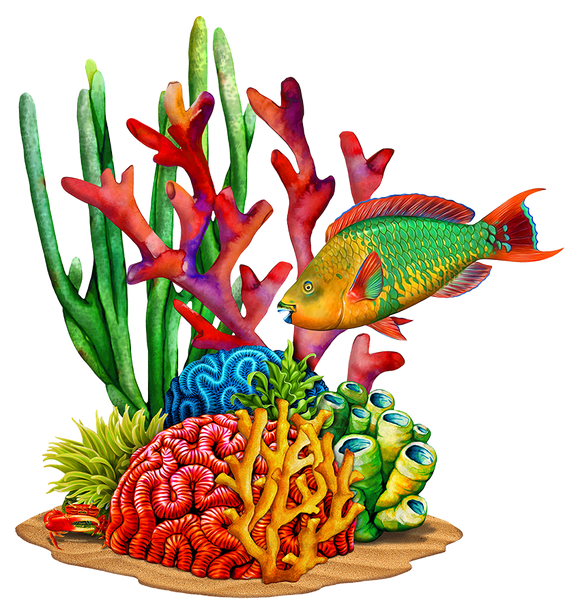 Coral Reef with Parrot Fish