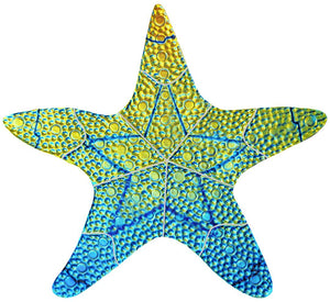 Rainbow Fusion Island Starfish Swimming Pool Mosaic