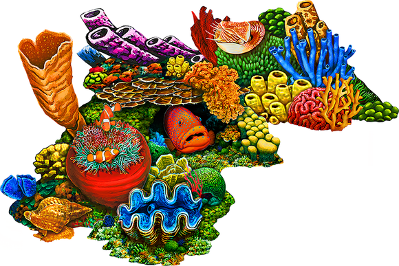 Coral Reef Swimming Pool Mosaic C