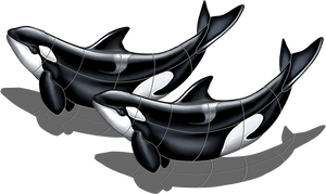 Orca Whale Double Pool Mosaic