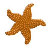 Starfish Swimming Pool Mosaic Tan