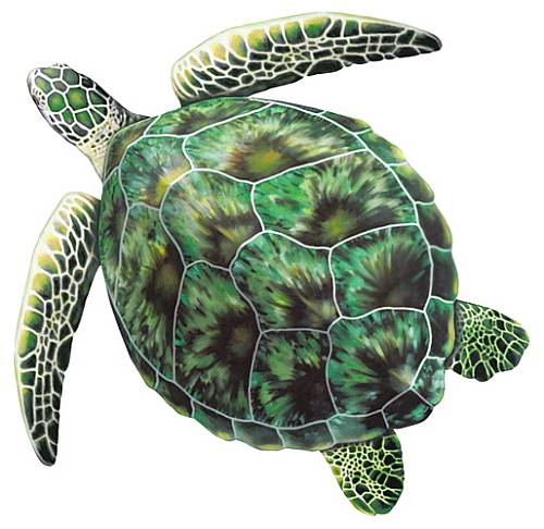 #5100 Green Sea Turtle