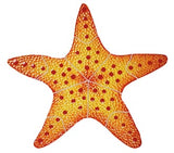 Red Starfish Swimming Pool Mosaic
