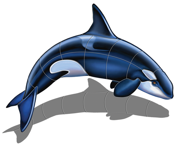 Orca Whale Shadow Swimming Pool Mosaic Downward Facing