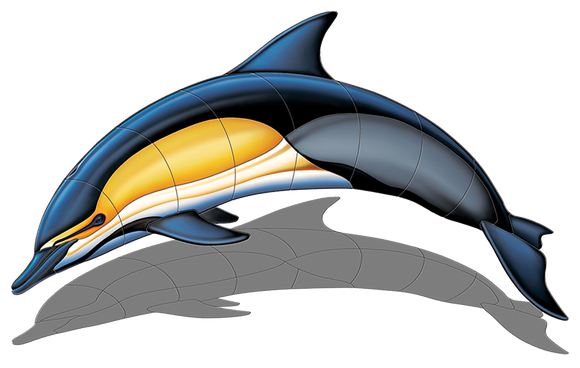Left Facing Upward Curve Common Dolphin Shadow Swimming Pool Mosaic