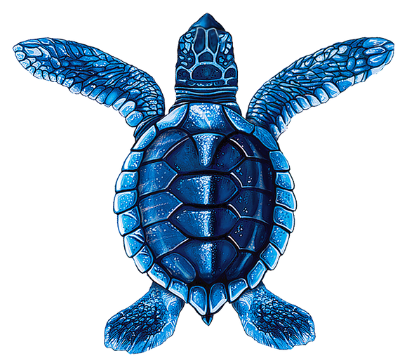 Turtle Swimming Pool Mosaic Baby Blue A