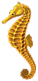 Yellow Seahorse Swimming Pool Mosaic - 4" x 9"