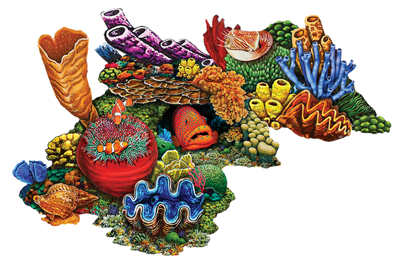 Coral Reef Swimming Pool Mosaic C