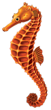 Orange Seahorse Swimming Pool Mosaic - 4" x 9"