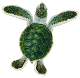 Turtle Hatchling Swimming Pool Mosaic Baby Green A