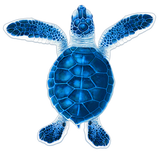 Turtle Hatchling Swimming Pool Mosaic Baby Blue A