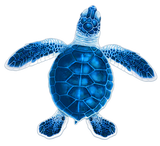 Turtle Hatchling Swimming Pool Mosaic Baby Blue C