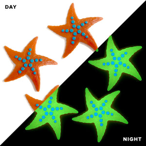 Bubbly Starfish Glow in the Dark Swimming Pool Mosaic - 5 Pack