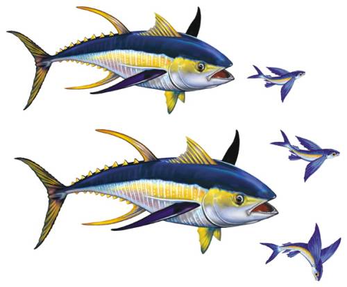 #5403 Tuna Fish Group