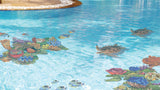Coral Reef in Swimming Pool